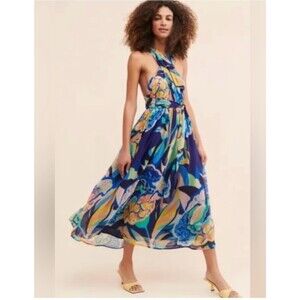 Alexandra Farmer Printed Maxi Dress XL